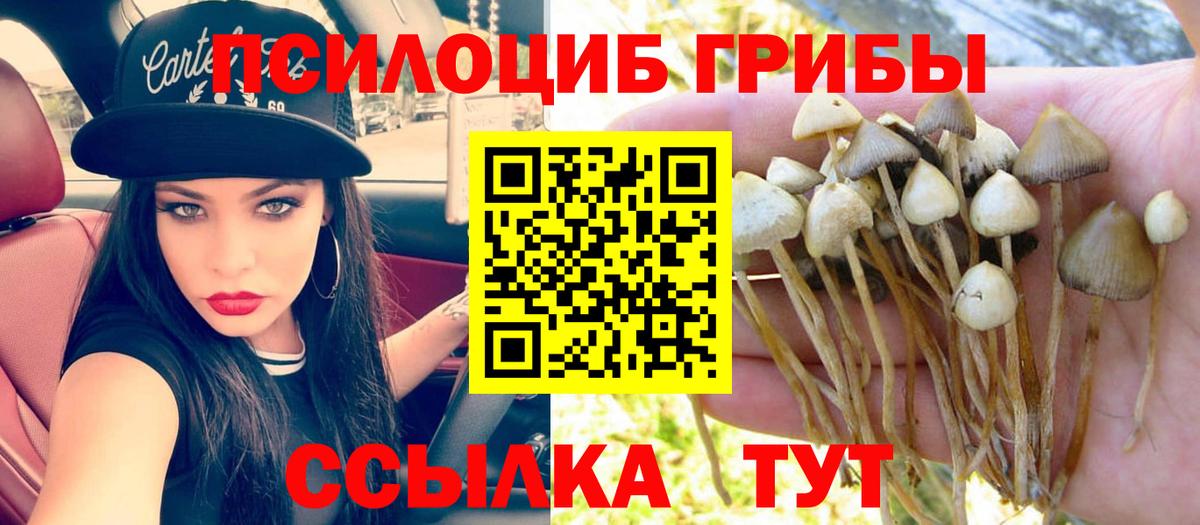 Галлюциногенные грибы ЛСД  Вход с VPN  Галлюциногенные грибы Cubensis  Знаменск 