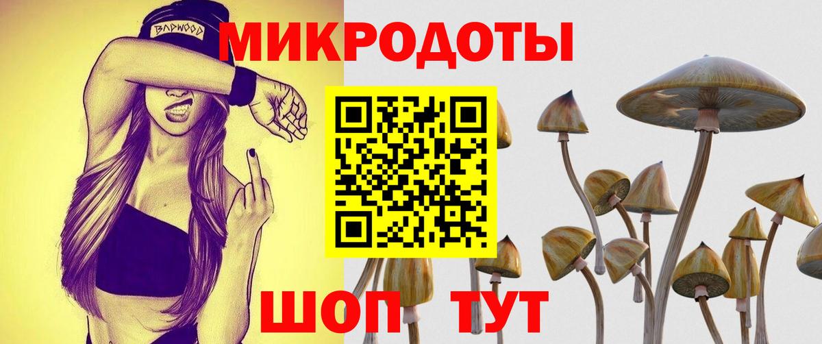 Псилоцибиновые грибы прущие грибы Знаменск
