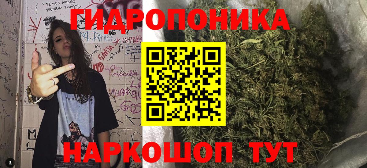 Марихуана план  Вход с VPN  Бошки Шишки тримм  Знаменск 
